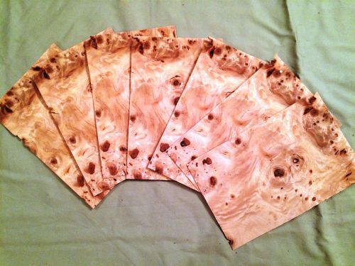 7 leafs of mappa burl @ 7 x 4.5 wood veneer  #v1611 for sale