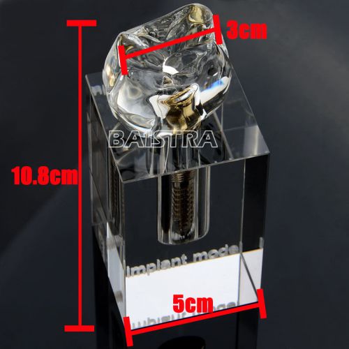 1 Pc Dental Implant Demonstration Model Teeth Study Teach Model 2019-1