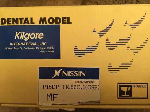 Periodontal Dentoform Kilgore International P15DP-TR.56C.1(GSF)