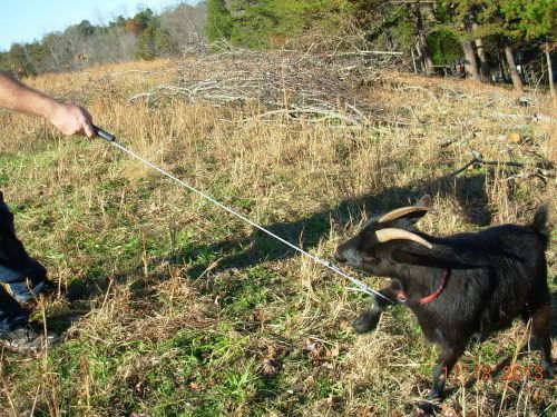 Homemade Humane Goat Sheep Anti-Kickout Leg Hook Catch