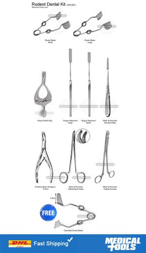 Large Rodent Dental Kit, Rabbit, Dental Extraction, Oral Examination, Treatment