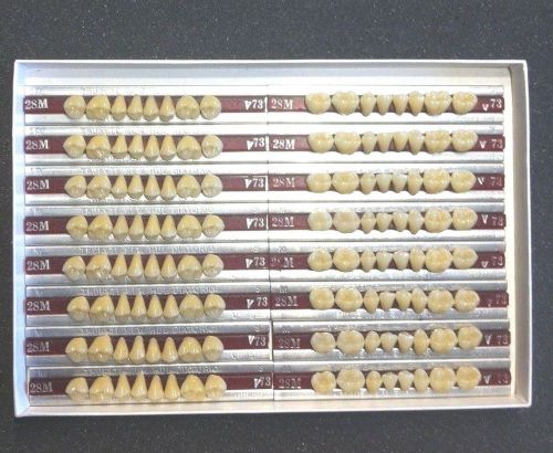 Dentsply New Hue Dentist Dental Lab Porcelain Denture Teeth   28M   UL  73