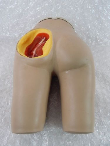 NASCO LIFE FORM INTRAMUSCULAR INJECTION SIMULATOR LF961-11119 MANIKIN