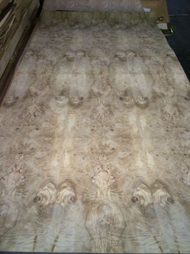 Wood veneer olive ash burl 48x96 1pcs total 10mil paper backed  &#034;exotic&#034;0854.11 for sale