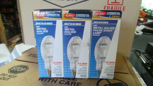 70 WATT METAL HALIDE (3)