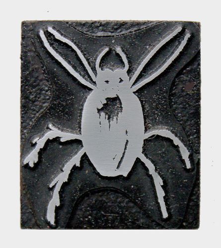 Letterpress Printer&#039;s Cut - &#034;Bug&#034; - 1 &amp; 3/16&#034; by 1 &amp; 7/16&#034;