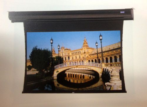 Da-Lite Large Cosmopolitan Electrol Projector Screen 14&#039;