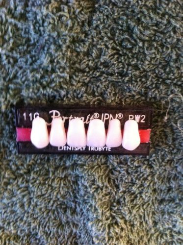 New  Portrait IPN Denture Teeth Anterior