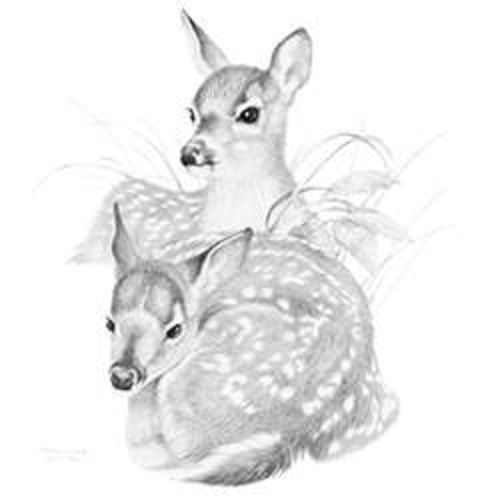 Deer Fawn HEAT PRESS TRANSFER for T Shirt Sweatshirt Tote Bag Quilt Fabric  235e