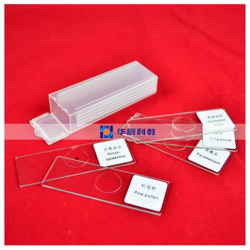 5pcs Glass Biological School Educational Lab Microscope Slides Prepared Specimen