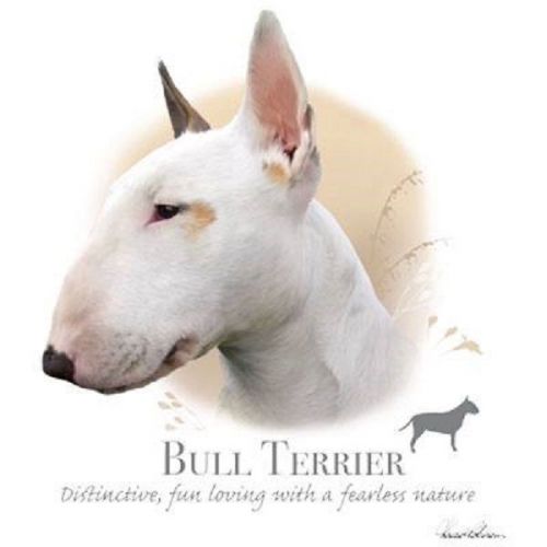 Bull terrier dog heat press transfer print for shirt sweatshirt bag fabric 822b for sale