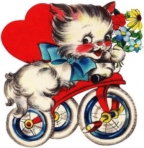 30 Custom Cat on a Bike Personalized Address Labels