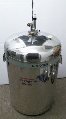 WESSINGTON CRYOGENICS MODEL ES-60 NITROGEN STAINLESS HOLDING TANK