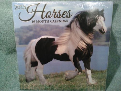 New Horses 16 Month Calendar 2015 Office desk work job school home 12&#034;X 12&#034;