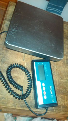 Digital Receiving Scale TE150