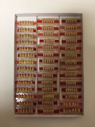 Dental Teeth Mix Pack Anterior #1