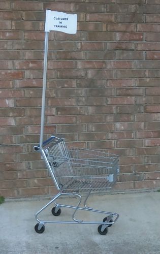 Chrome Rolling Clothing Rack, LG Shopping Cart, Chrome Child Size Shopping Cart