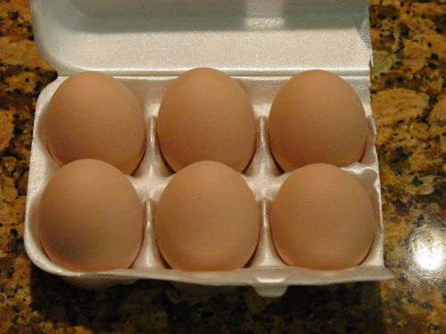 6 BROWN CERAMIC NEST TRAINING EGGS FOR CHICKEN HATCHING