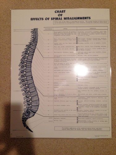 chiropractic poster