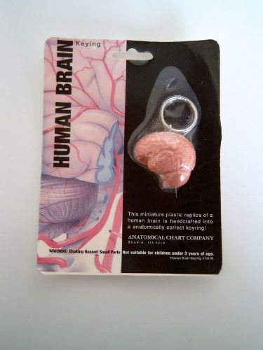 HUMAN BRAIN KEYRING-MEDICAL-DOCTORS-NOVELTY-FUN-GIFT