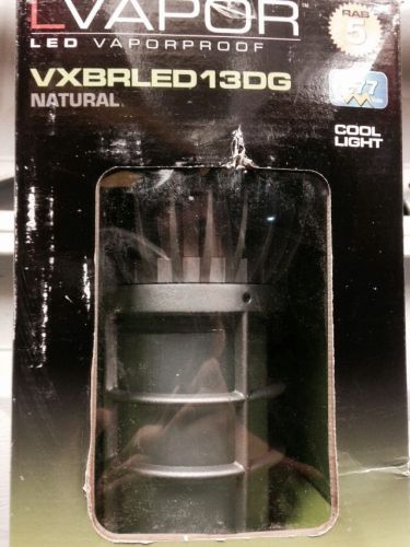 NIB RAB VXBRLED13DG Vaporproof  Fixture