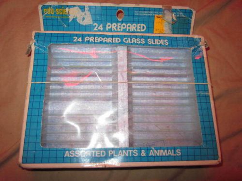 Vintage Edu Science 24 Prepared Glass Slides Plants &amp; Animals