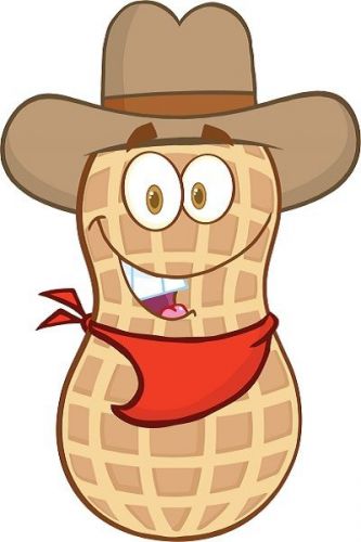 30 Custom Smiling Cowboy Peanut Personalized Address Labels