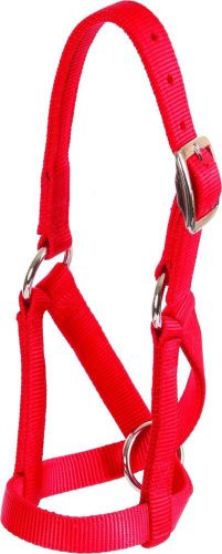 Mustang brand goat halter nylon flat 3/4&#034; - small - red for sale