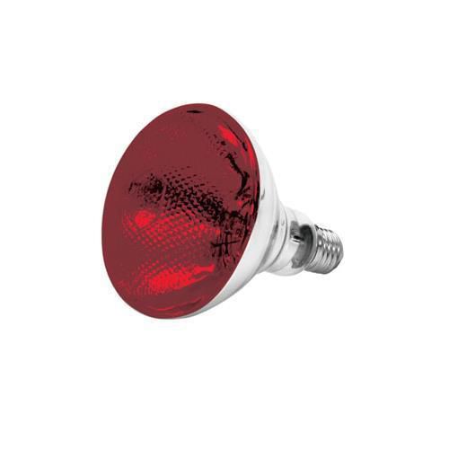 Thunder Group SEJ90001R Heat Lamp Bulb