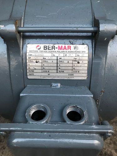 Drive Motor, Two Speed, Ber Mar, L300