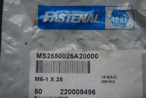 LOT OF (45)  M6-1 X 25MM FASTENAL stainless allen cap BOLTS 912 18-8 (A2)