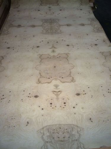 Wood veneer olive ash burl 49x84 1pcs total 10mil paper backed  &#034;exotic&#034;0854.8 for sale