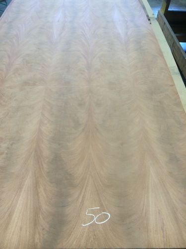 Wood Veneer Crotch Mahogany 38x98 1pcs total 3-ply Wood Backed &#034;EXOTIC&#034; CRLM50