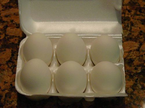 6 WHITE CERAMIC NEST TRAINING EGGS FOR CHICKEN HATCHING