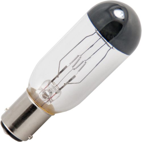 CEB Bulb 100W 120V T8 Incandescent - ANSI CEB