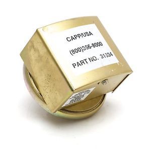 Capp/USA 0.3 - 1 in. W.P. Pressure Regulator 31534