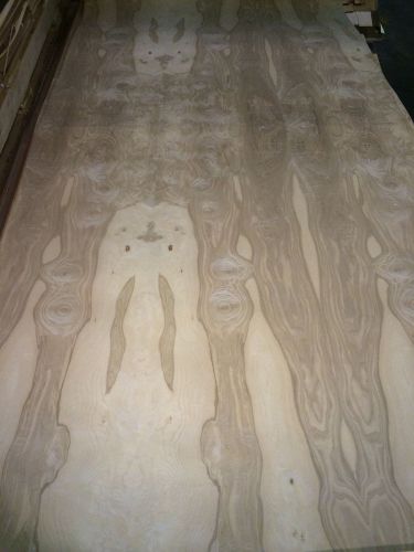 Wood veneer olive ash burl 48x96 1pcs total 10mil paper backed  &#034;exotic&#034;0854.9 for sale