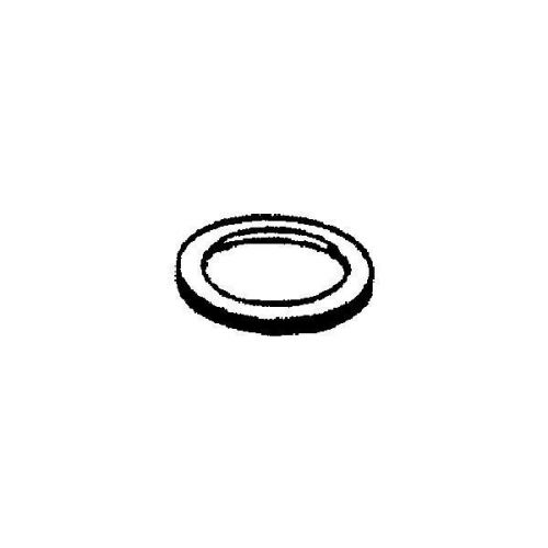 Apache Hose Belting 43081292 Suction Hose Coupling Washer-2&#034; WASHER