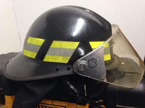 Lion Fire Helmet