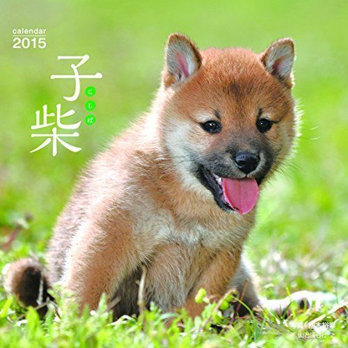 Desk Calendar 2015 puppy  Shiba free shipping   (1011)