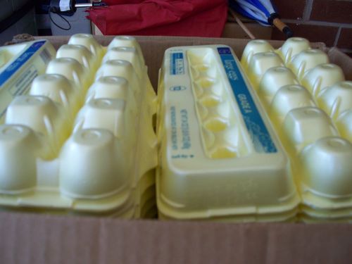 32 EXTRA NICE EGG CARTONS LARGE DOZEN COUNTRY FARM EGG YELLOW STYRFOAM USED ONCE