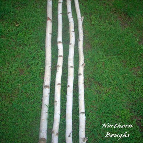 Birch Poles Bundle of 4 (Medium) All Sizes