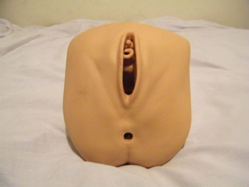 FEMALE ANATOMY MOLD OF VAGINA FOR TRAINING NURSES AND DOCTORS