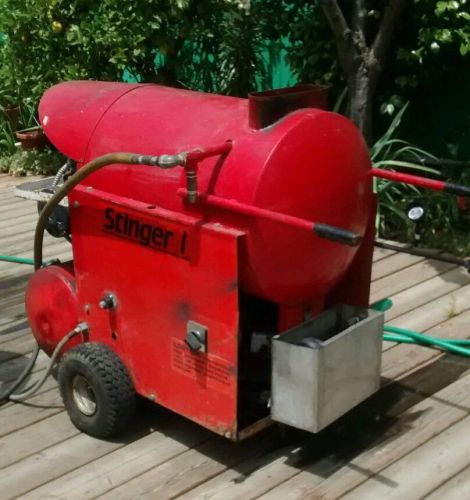 Steam pressure washer