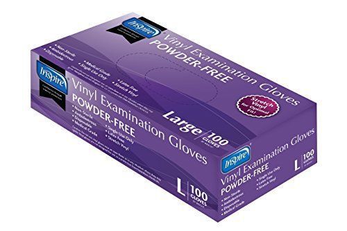 Exam Grade Powder Free Stretch Vinyl Gloves Large 100 Count Pack 10