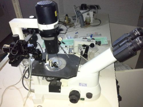 NIKON TS100 STEREO ZOOM MICROSCOPE FOR IVF