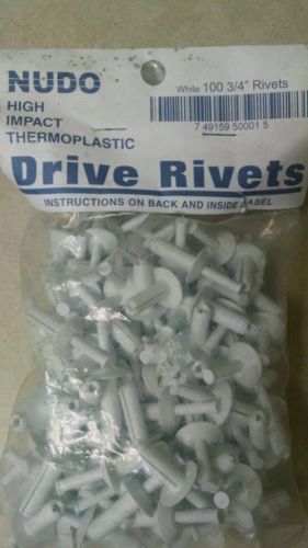 Nudo HIgh Impact Thermoplastic White Nylon 3/4 x 1/4 Drive Rivets (4-100) FRP