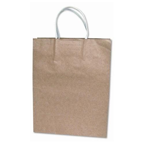 Cosco premium large brown paper shopping bags - 10&#034; x 13&#034; - paper - (091565) for sale