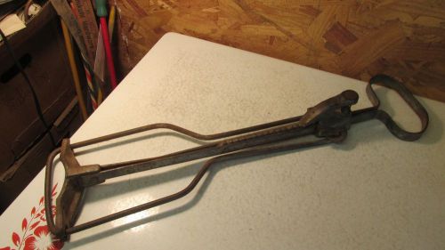 Antique Iron Livestock Vet Med Mouth Tool