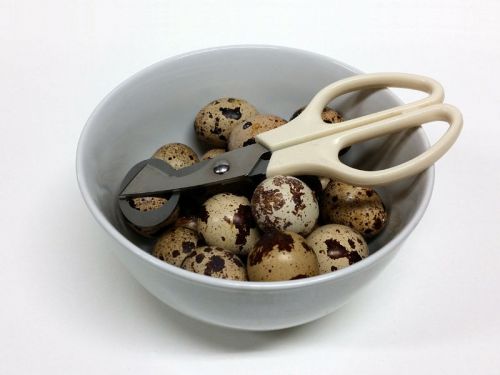 Quail Egg Scissors - FREE Shipping!